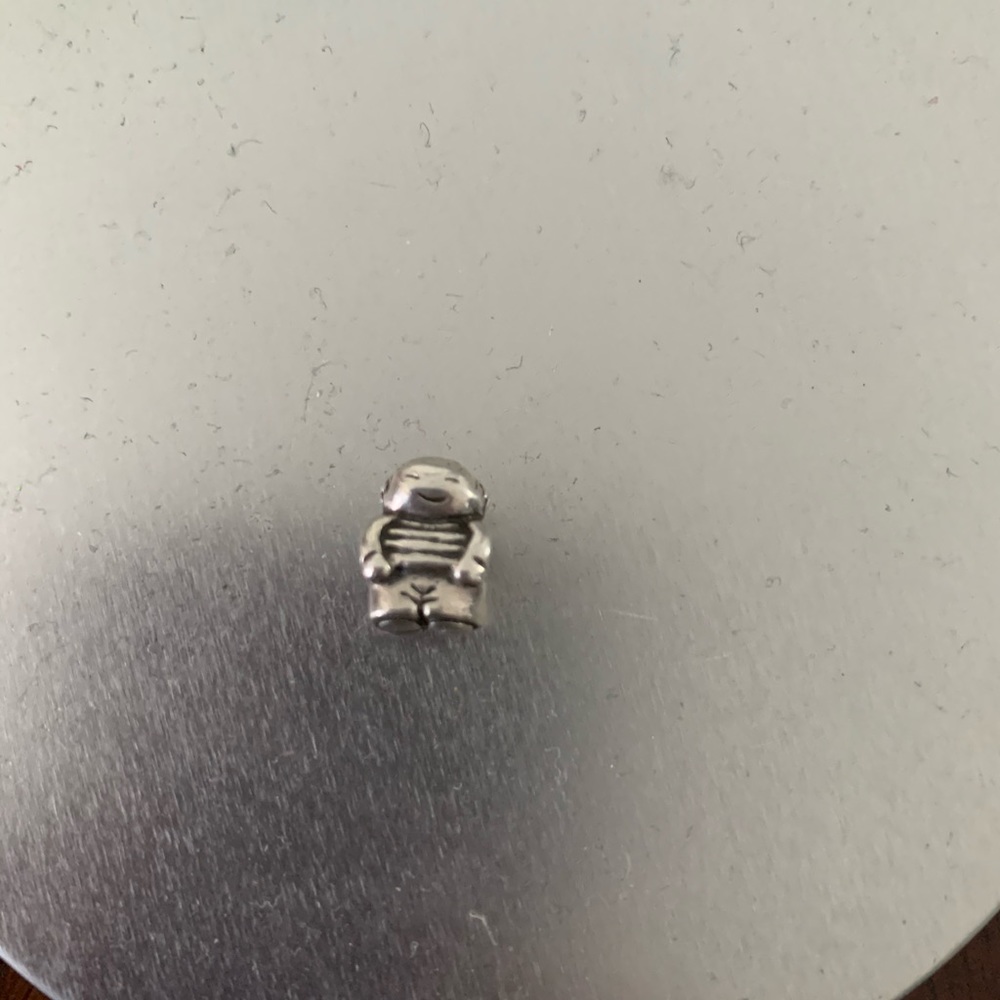Pandora Charm